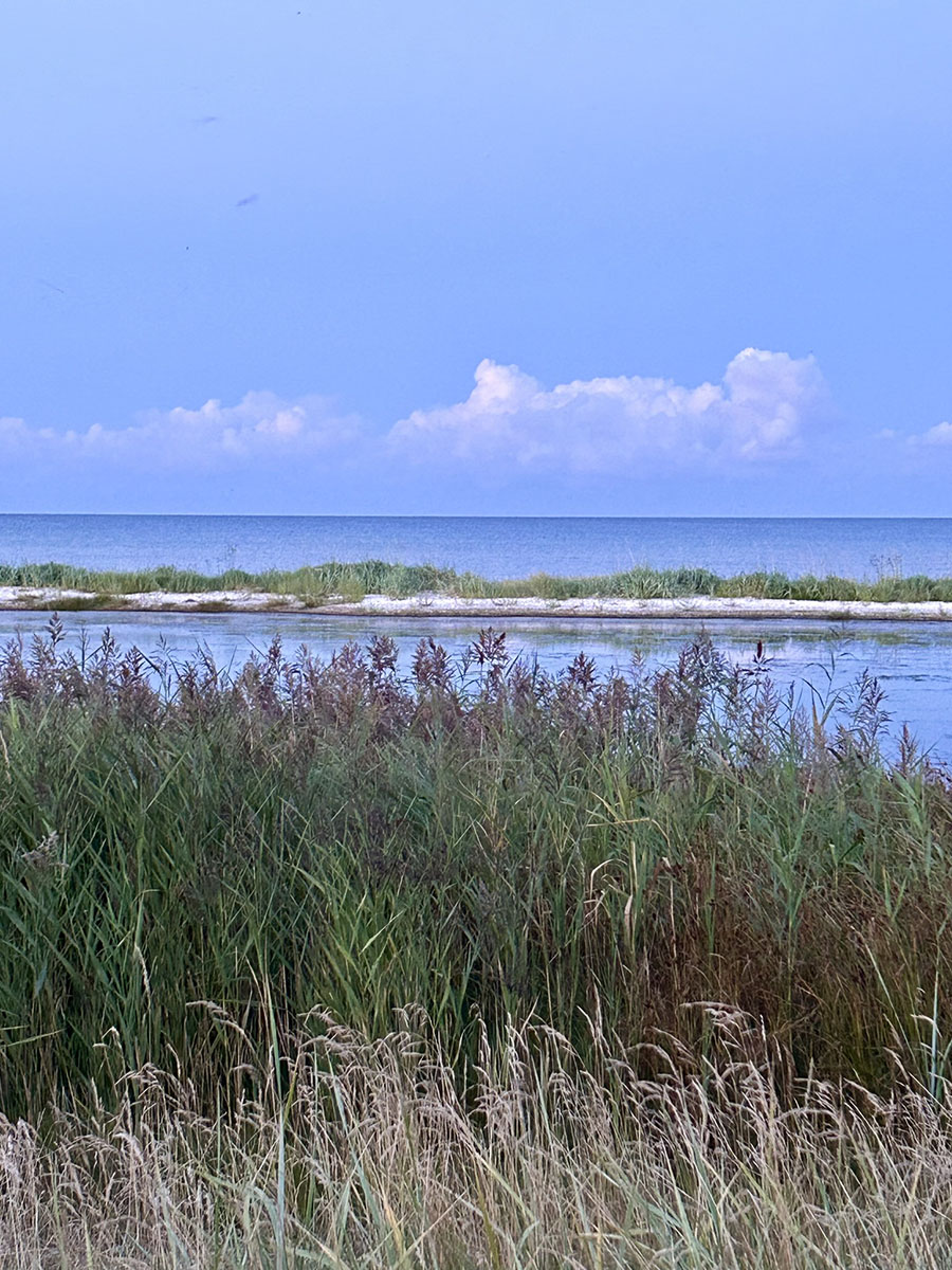 Udsigt over Kattegat